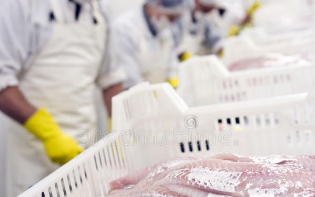 What’s the Best Length for a Charter Trip? Half-Day vs. Full-Day Fishing Explained