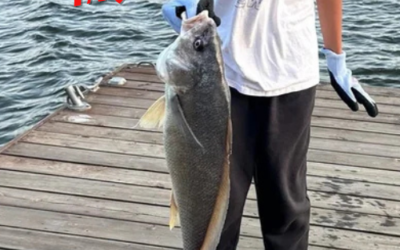 Florida Keys Fishing FAQ: What First-Timers Always Ask (And What They Should)