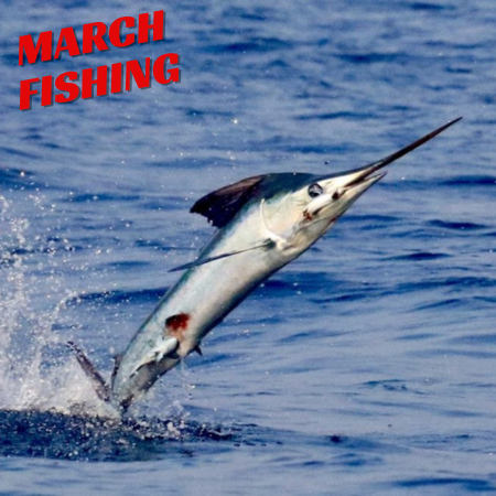 Spring Break on the Water : Why March is Made for Fishing in the Keys