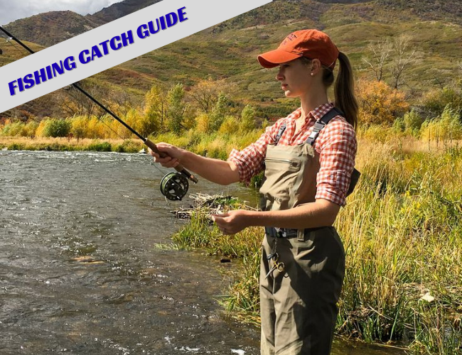 Top 5 Fish You Can Catch on a Key Largo Fishing Charter