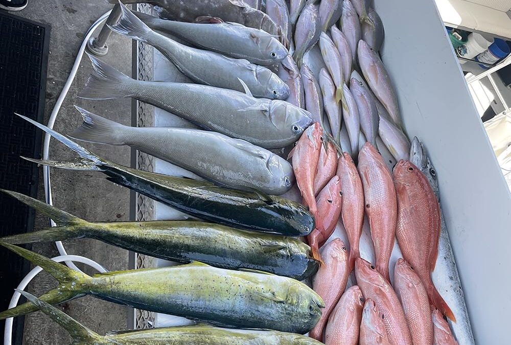 Offshore vs Reef Fishing in Key Largo: Which Charter Trip Is Right for You?
