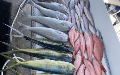 Offshore vs Reef Fishing in Key Largo: Which Charter Trip Is Right for You?
