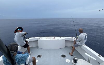 What Happens on a Fishing Charter? A Step-by-Step Guide from Dock to Dock